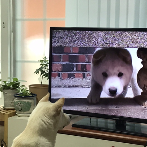 우리 애 아빠 보는 눈빛 봐 | 인스티즈