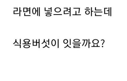 녹화 도중에 진짜 버섯갤러리에 글 쓴 기안84 | 인스티즈