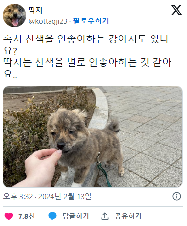 산책나오면 표정이 안 좋아지는 강아지 | 인스티즈