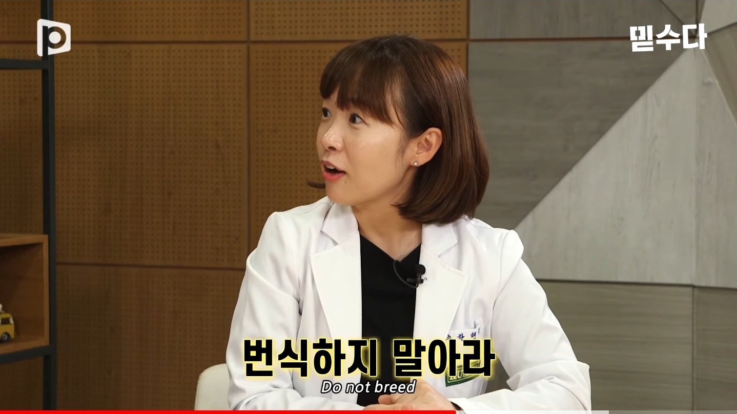 한국에만 슬개골 탈구 강아지가 많은 이유 | 인스티즈