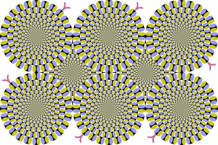 스트레스 지수 확인할 수 있는 착시현상 그림 4장.JPG | 인스티즈