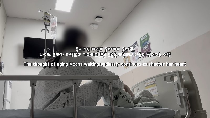 죽다 살아나 반려견 걱정에 오열하는 반려인 | 인스티즈