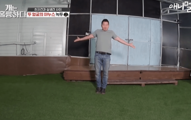 강형욱 망신살 없어서 부러운 달글 | 인스티즈