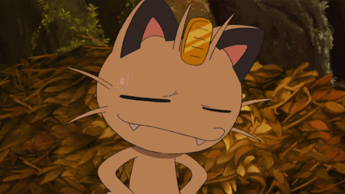 따라큐가 피카츄를 증오하는 이유?! | 인스티즈