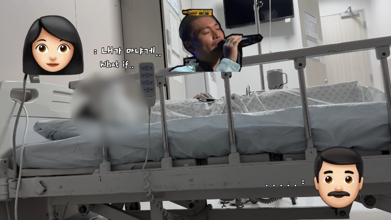 죽다 살아나 반려견 걱정에 오열하는 반려인 | 인스티즈