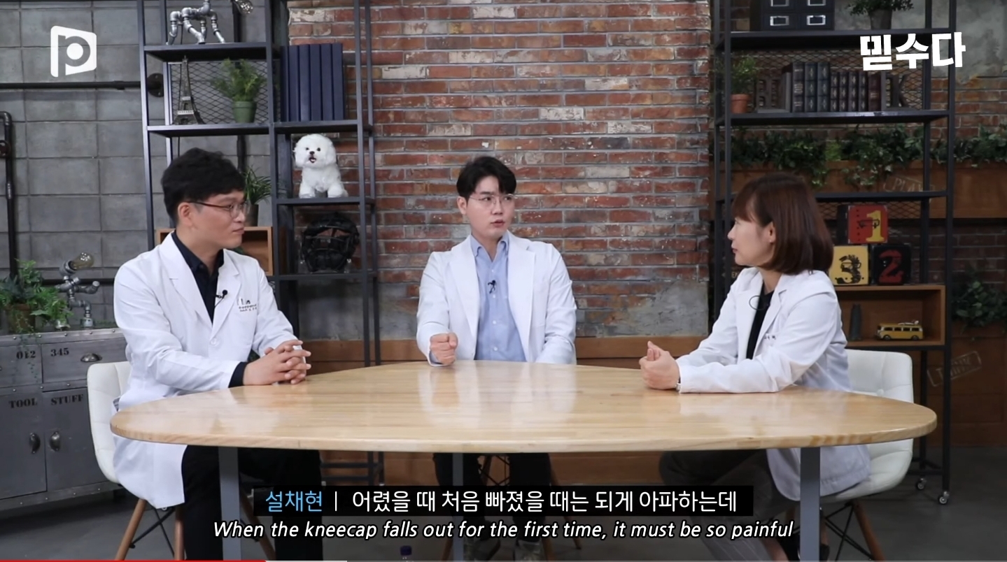 한국에만 슬개골 탈구 강아지가 많은 이유 | 인스티즈