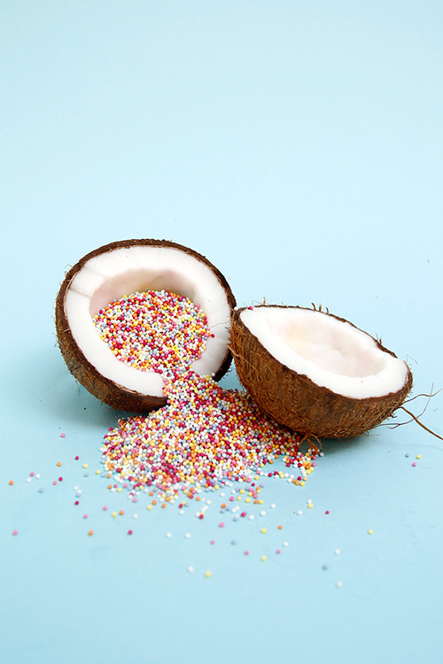 색다른 해석으로 찍어낸 독특하고 컬러풀한 사진들 | 인스티즈