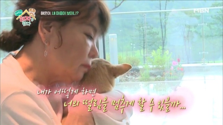 [우리집에해피가왔다] 졸린 척 하는 강아지 해운이.jpgif | 인스티즈