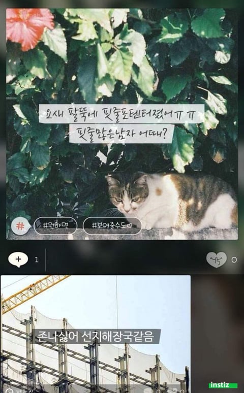 한때 유행했던 모씨감성.jpg | 인스티즈