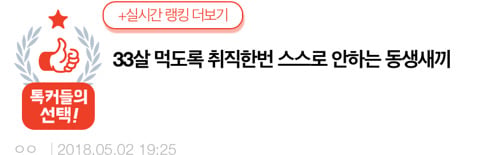 33살 먹도록 취직한번 스스로 안하는 동생새끼 | 인스티즈
