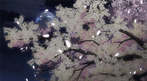 아름다운 밤하늘! 달 움짤 gif | 인스티즈