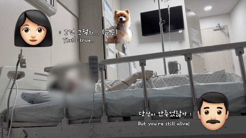 죽다 살아나 반려견 걱정에 오열하는 반려인 | 인스티즈