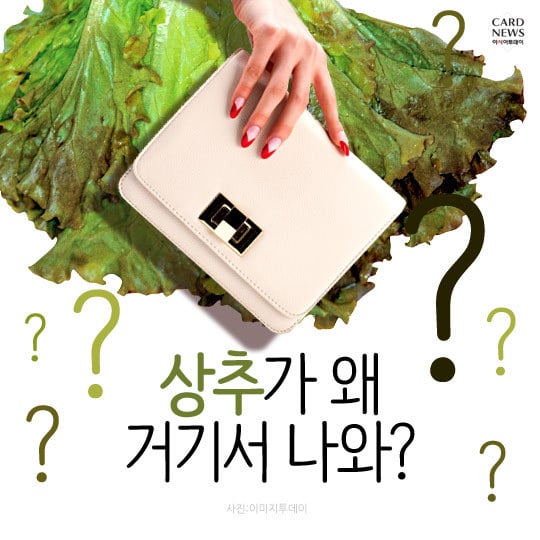 아직도 자주쓰이는 무도 유행어 아웃풋 원탑.jpg | 인스티즈