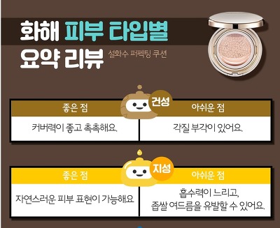 국내 인기 쿠션 BEST템 피부타입별 사용감 | 인스티즈