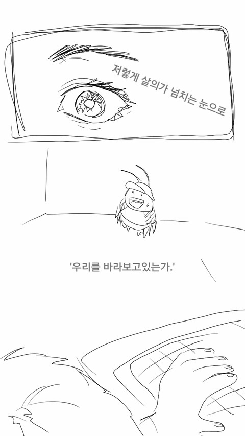 지식인 : 돈벌레 어떻게 잡아요? (심금 주의) | 인스티즈