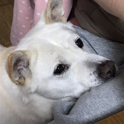 우리 애 아빠 보는 눈빛 봐 | 인스티즈