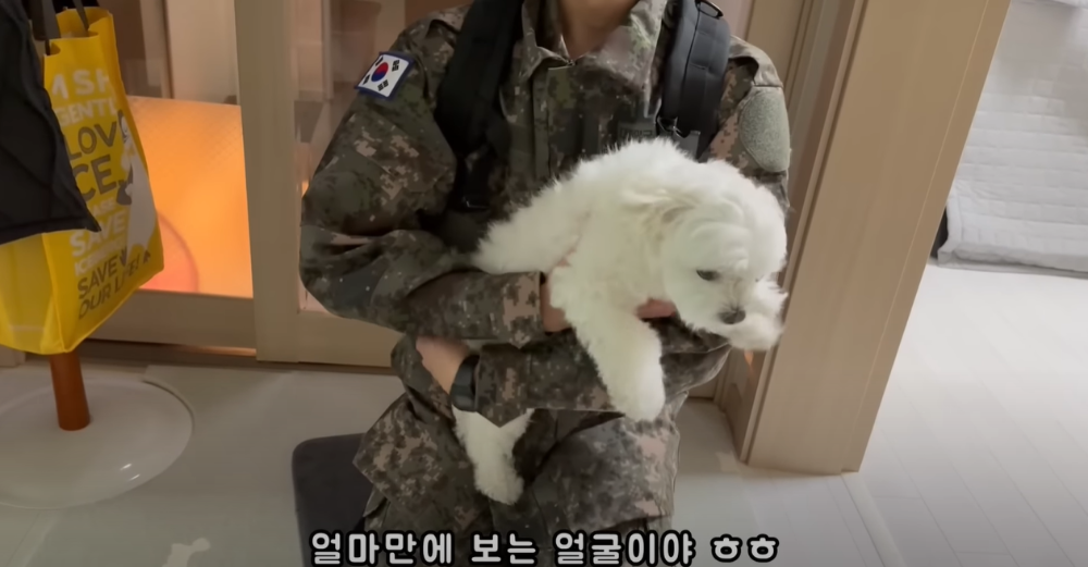오빠 군대간 줄 모르고 밤새 기다리던 강아지네 오빠 드디어 첫 휴가.jpg | 인스티즈