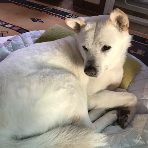 우리 애 아빠 보는 눈빛 봐 | 인스티즈