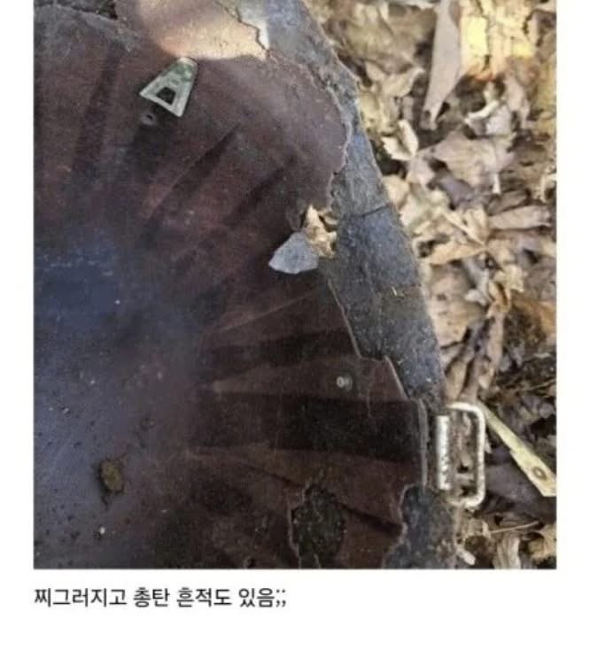 등산하다 군용품 발견함 | 인스티즈