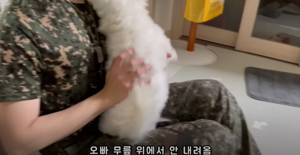 오빠 군대간 줄 모르고 밤새 기다리던 강아지네 오빠 드디어 첫 휴가.jpg | 인스티즈