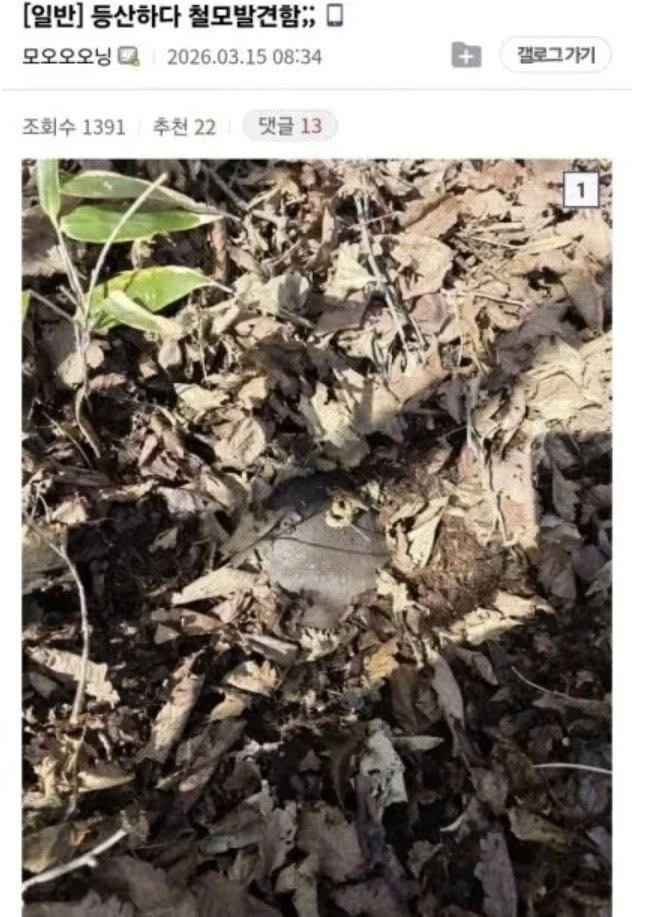 등산하다 군용품 발견함 | 인스티즈