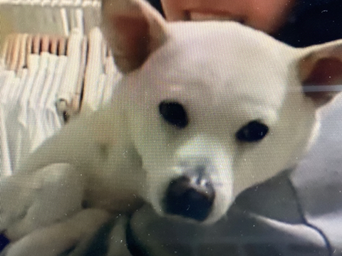 우리 애 아빠 보는 눈빛 봐 | 인스티즈