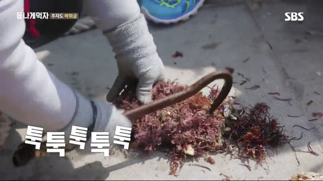 추자도 바위굴 먹는 트와이스 정연X다현.jpg | 인스티즈