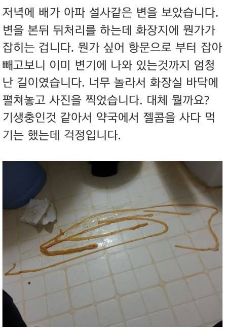 (혐오주의) 배아파서 똥쌌는데.. | 인스티즈