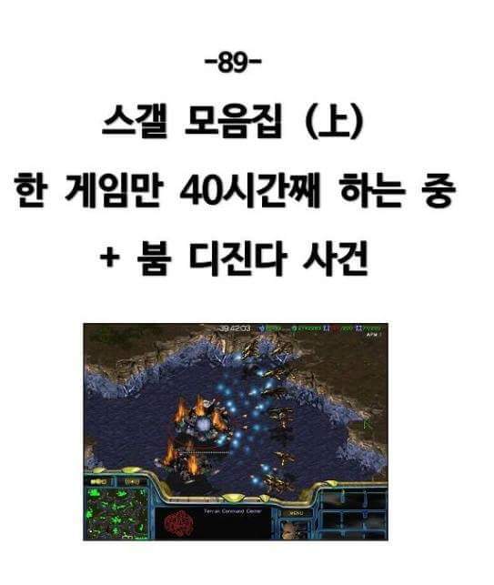 디씨 스갤 스타크래프트 40시간 동안 플레이 한 레전드사건 | 인스티즈