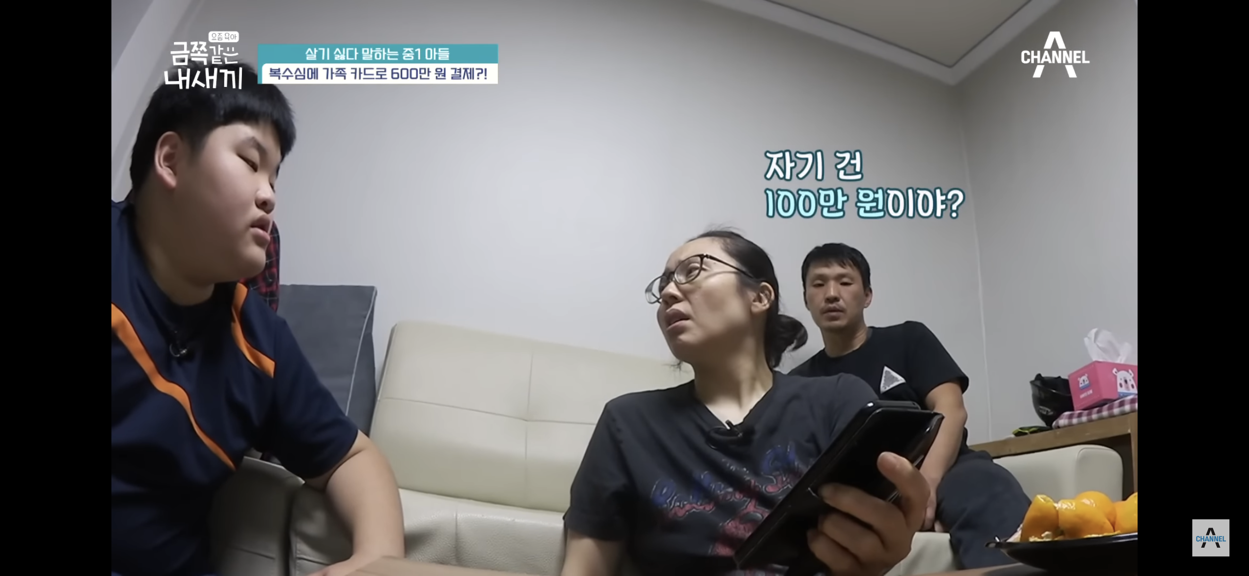 [금쪽같은내새끼] "엄마 도움 더럽다고!”, 몰래 소액결제로 600만원을 사용한 금쪽이 | 인스티즈