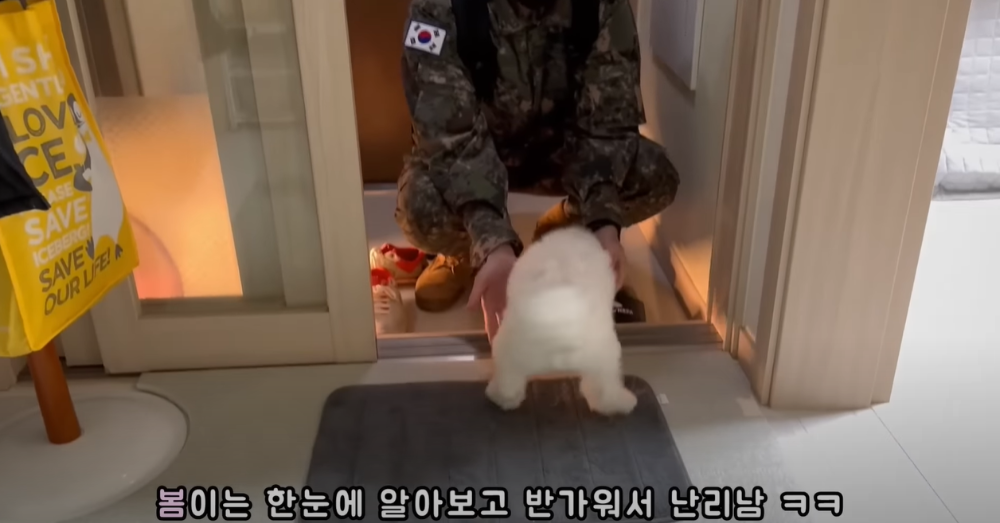 오빠 군대간 줄 모르고 밤새 기다리던 강아지네 오빠 드디어 첫 휴가.jpg | 인스티즈