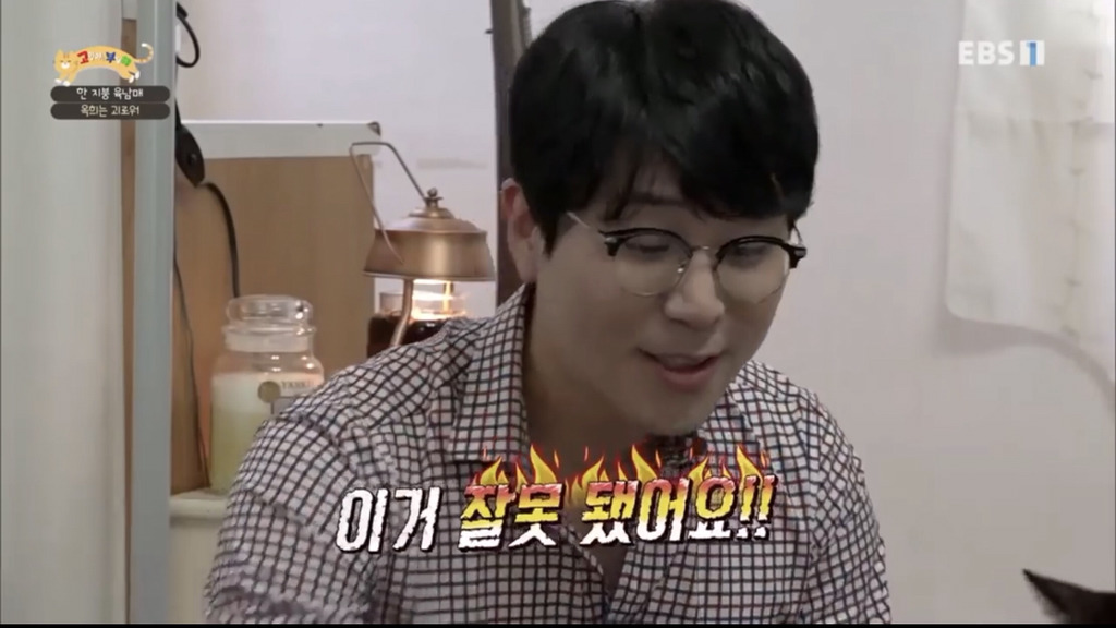 [고부해] 다묘가정의 흔한 실수.jpg | 인스티즈