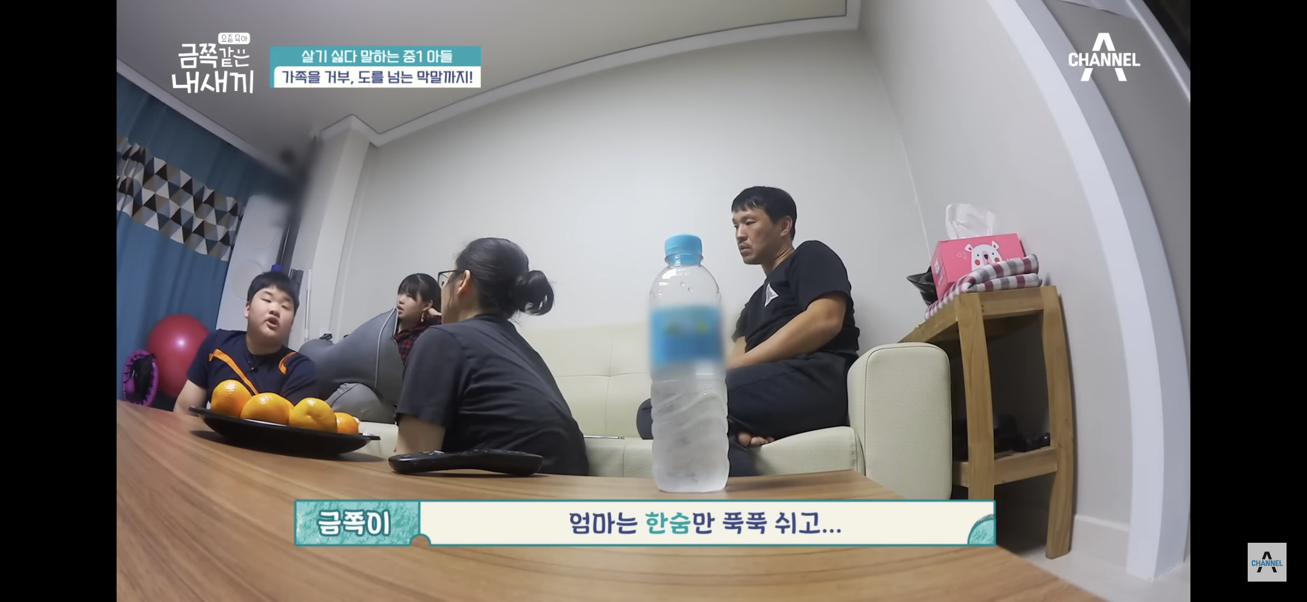 [금쪽같은내새끼] "엄마 도움 더럽다고!”, 몰래 소액결제로 600만원을 사용한 금쪽이 | 인스티즈