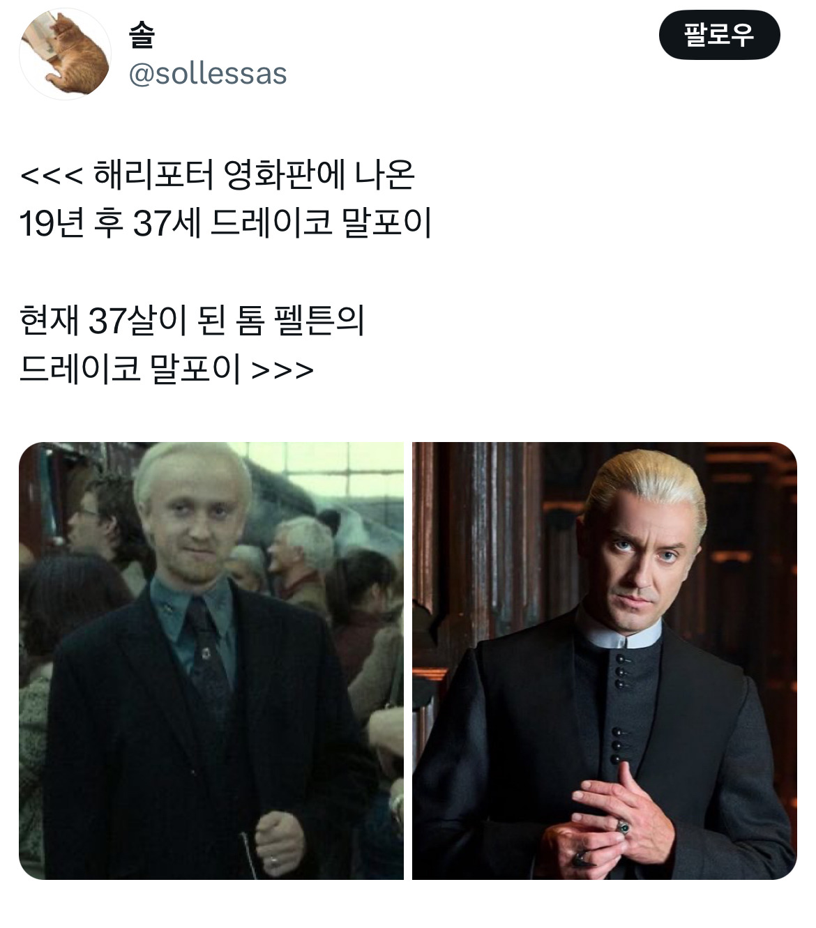 전세계 해리포터 오타쿠들 난리난 톰 펠튼의 말포이 복귀 소식.twt | 인스티즈