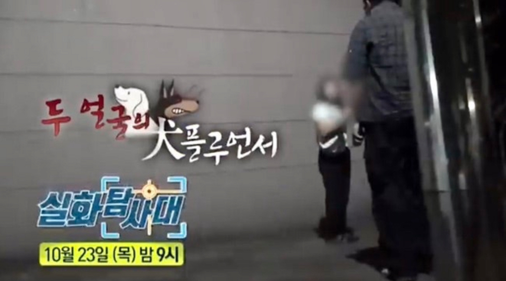 개물림 사고 낸 인플루언서견 : 유기견이니까 탈출해서 공격하고 싶은 본능이 있는 것, 다 못막는다(어제 방송에서 인터뷰함) | 인스티즈