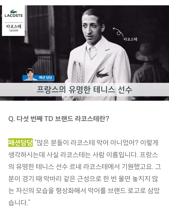폴로 vs 빈폴 vs 라코스테 vs 타미힐피거 vs 헤지스 | 인스티즈