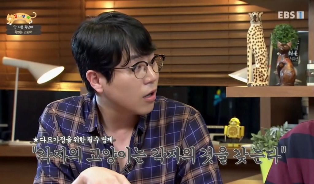 [고부해] 다묘가정의 흔한 실수.jpg | 인스티즈