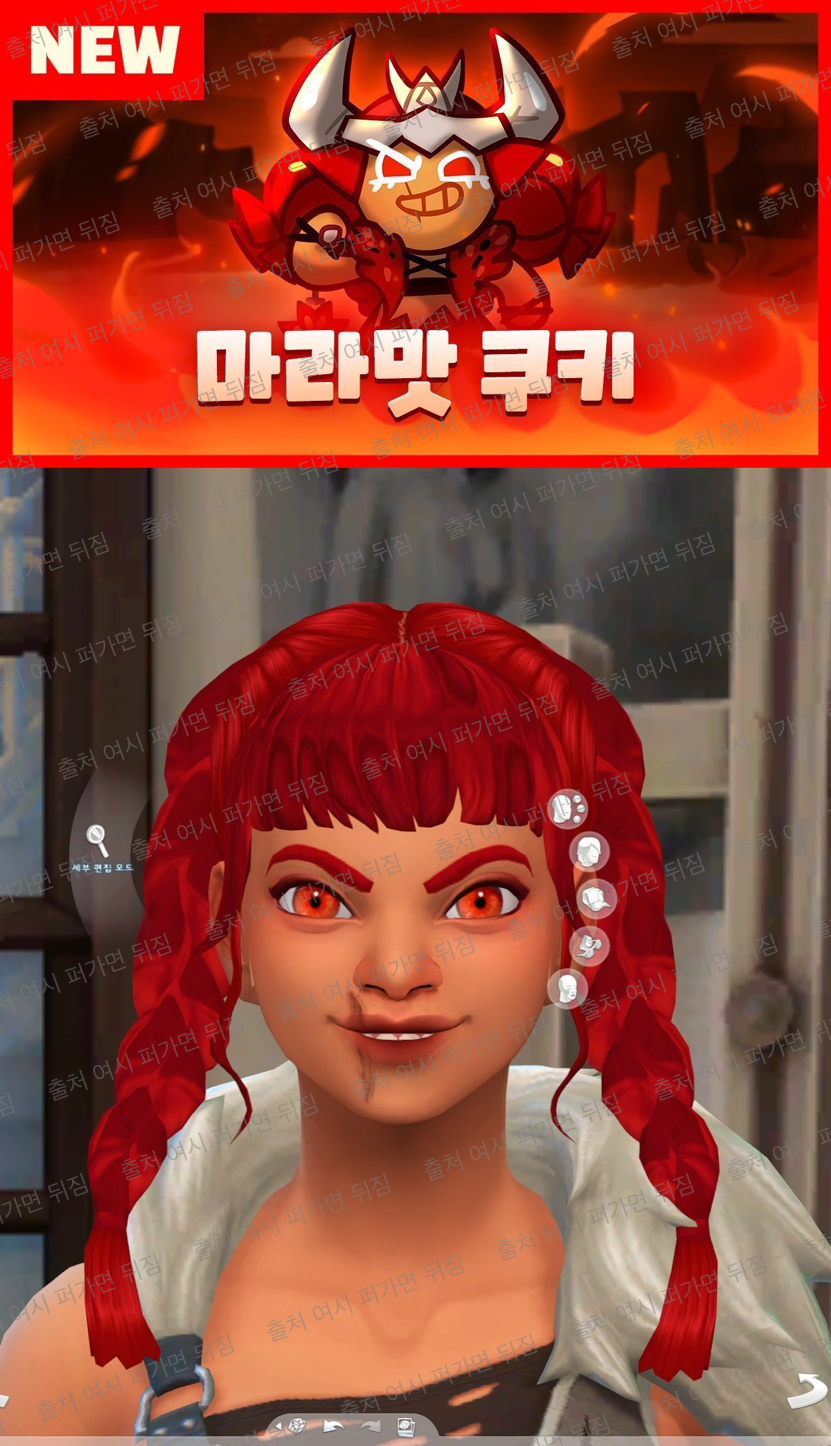 심즈로 구워 본 쿠키런 쿠키들 | 인스티즈