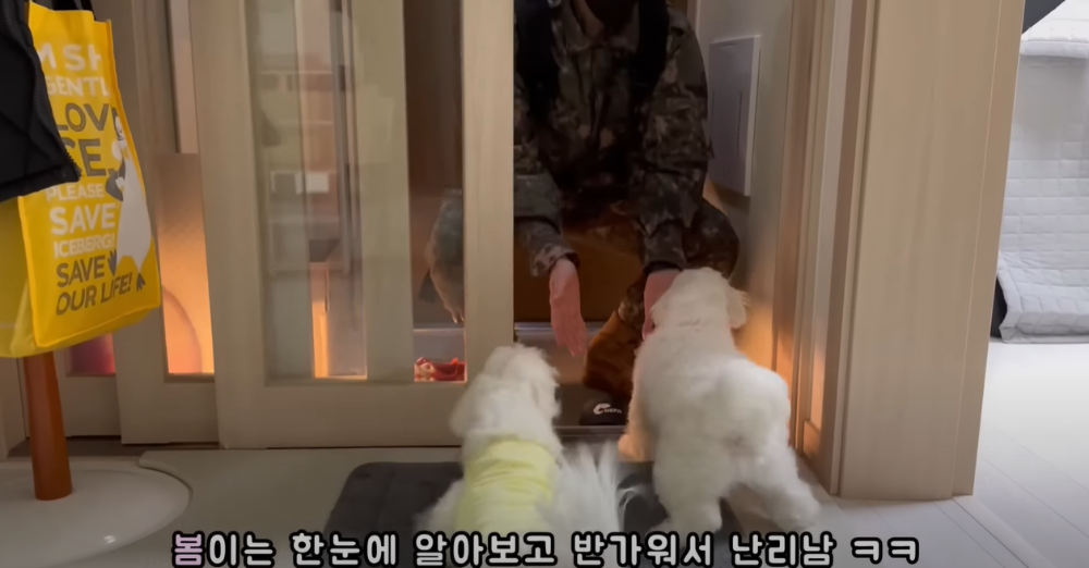 오빠 군대간 줄 모르고 밤새 기다리던 강아지네 오빠 드디어 첫 휴가.jpg | 인스티즈