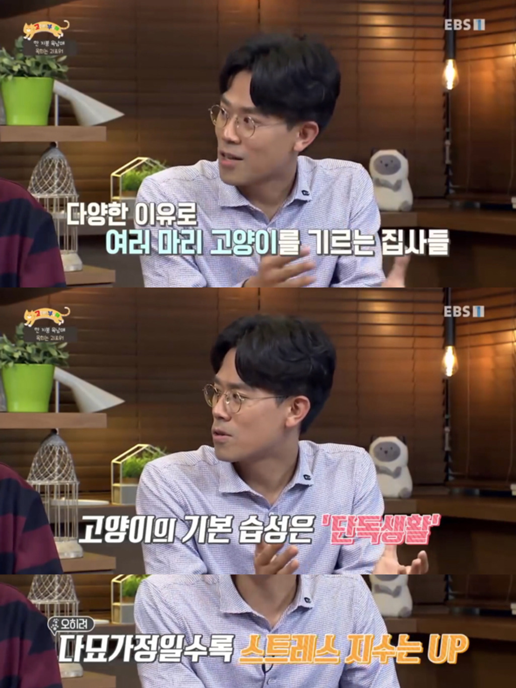 [고부해] 다묘가정의 흔한 실수.jpg | 인스티즈