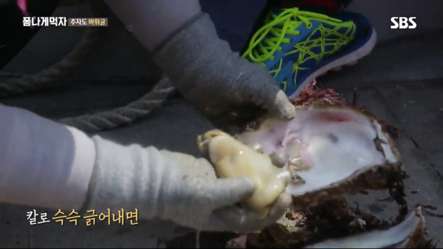 추자도 바위굴 먹는 트와이스 정연X다현.jpg | 인스티즈