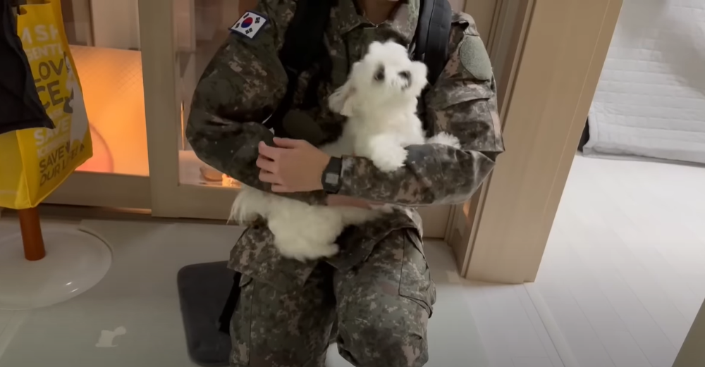 오빠 군대간 줄 모르고 밤새 기다리던 강아지네 오빠 드디어 첫 휴가.jpg | 인스티즈