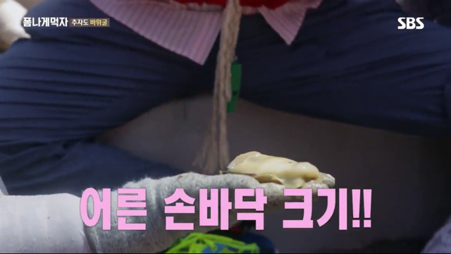 추자도 바위굴 먹는 트와이스 정연X다현.jpg | 인스티즈