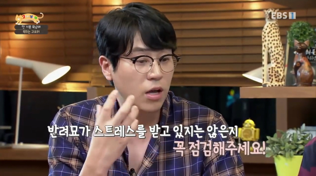 [고부해] 다묘가정의 흔한 실수.jpg | 인스티즈
