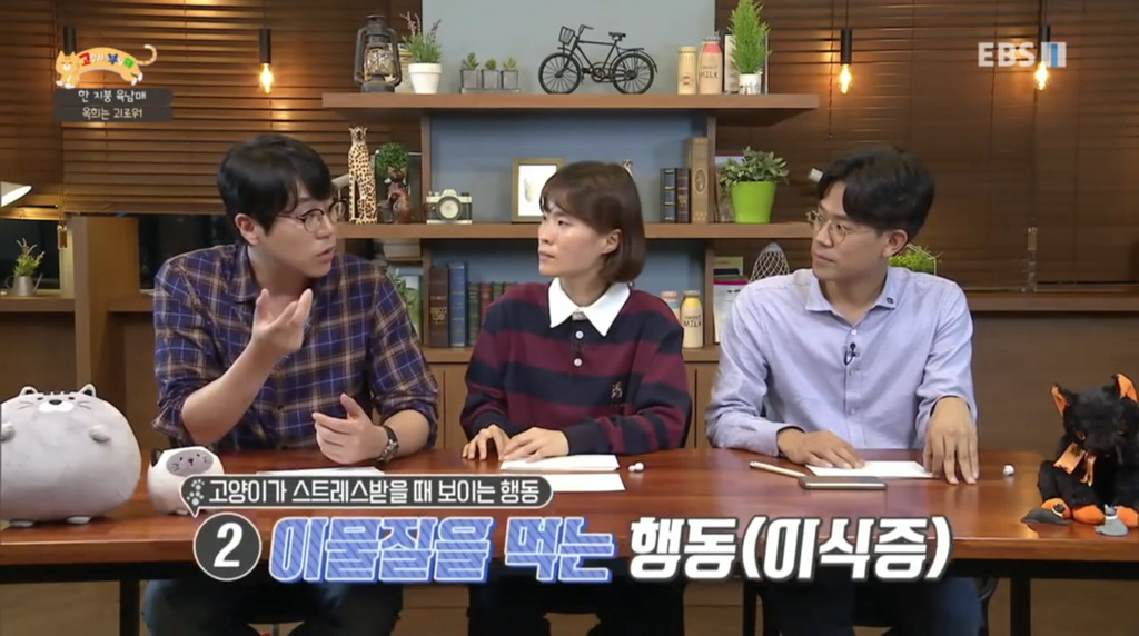 [고부해] 다묘가정의 흔한 실수.jpg | 인스티즈