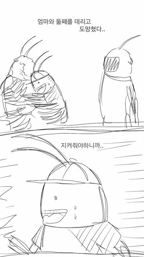 지식인 : 돈벌레 어떻게 잡아요? (심금 주의) | 인스티즈