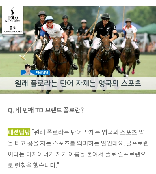 폴로 vs 빈폴 vs 라코스테 vs 타미힐피거 vs 헤지스 | 인스티즈