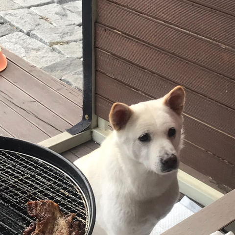 우리 애 아빠 보는 눈빛 봐 | 인스티즈