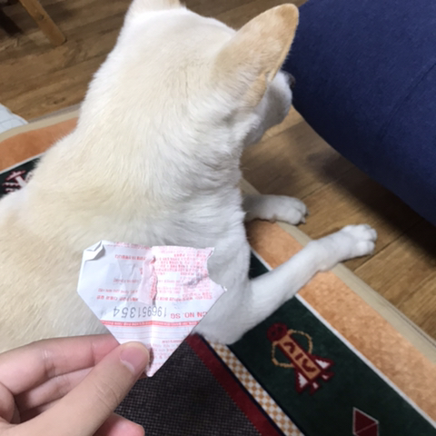 우리 애 아빠 보는 눈빛 봐 | 인스티즈