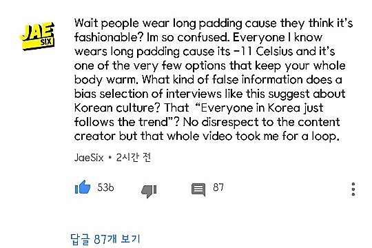 편향된 한국 롱패딩 유행 인터뷰 유튜브 영상에 소신발언한 연예인 | 인스티즈